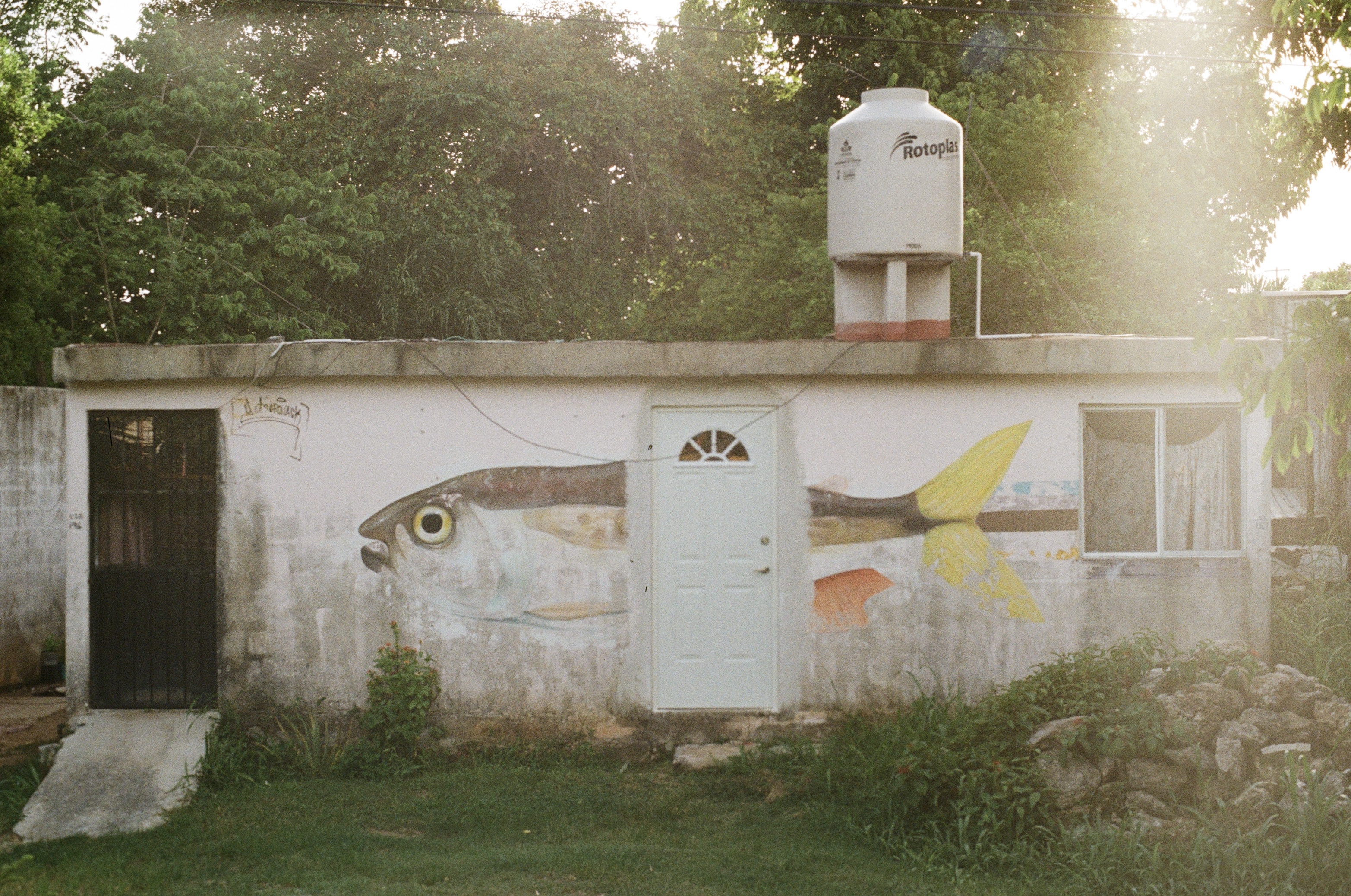 House with a fish mural in Baccalar, Mexico