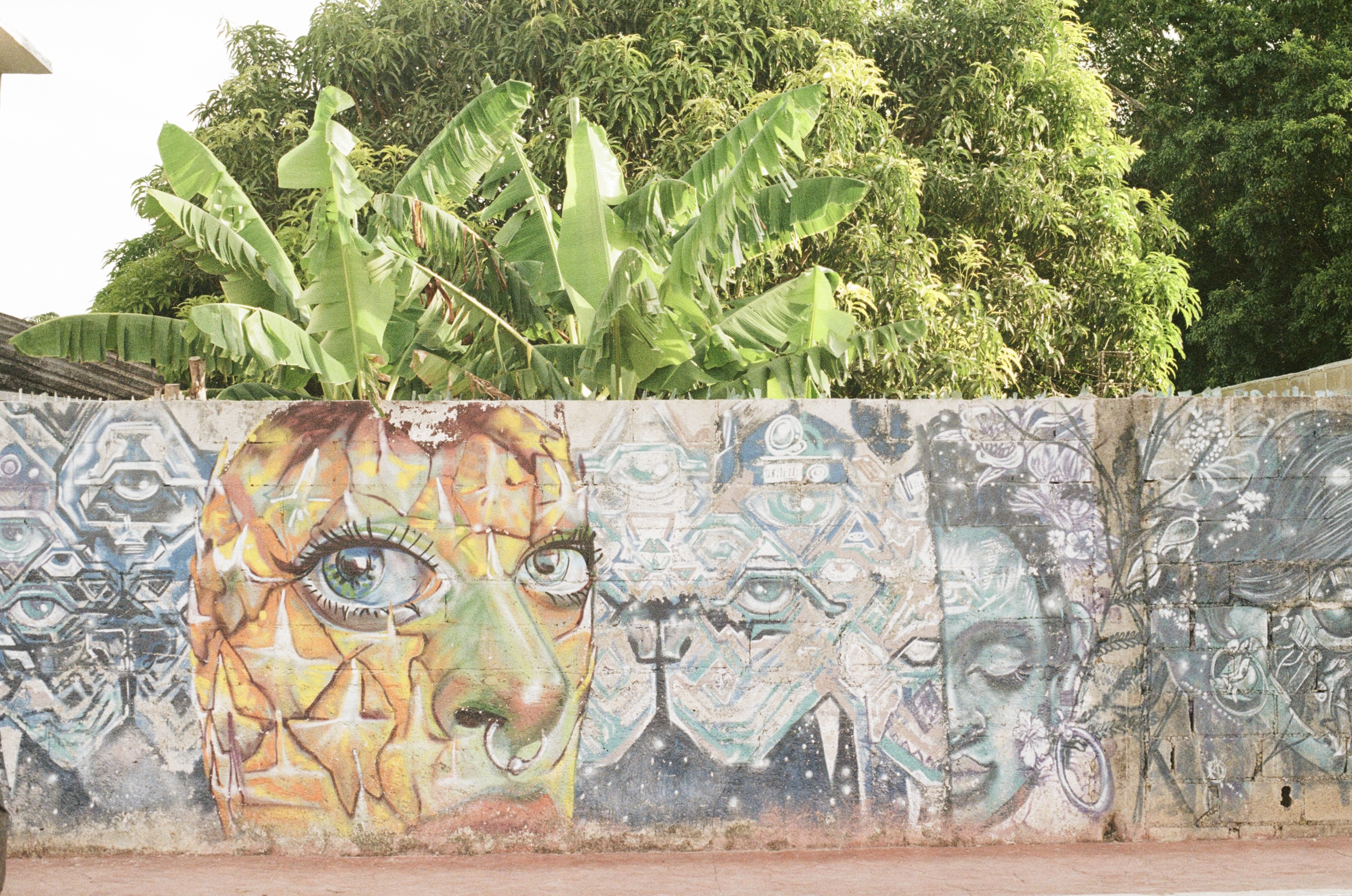 Mural of anthropomorphised pineapple in Baccalar, Mexico